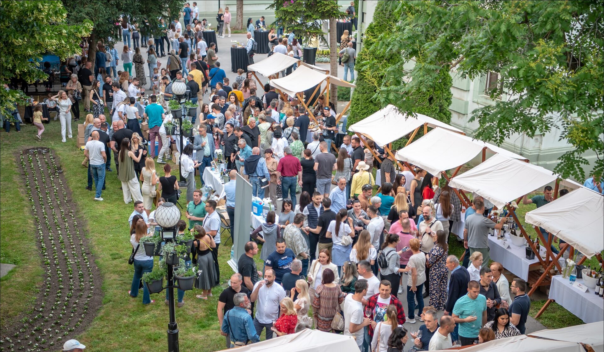 Festival vina u zrenjaninu